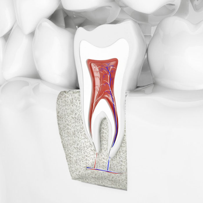 General Dentistry
